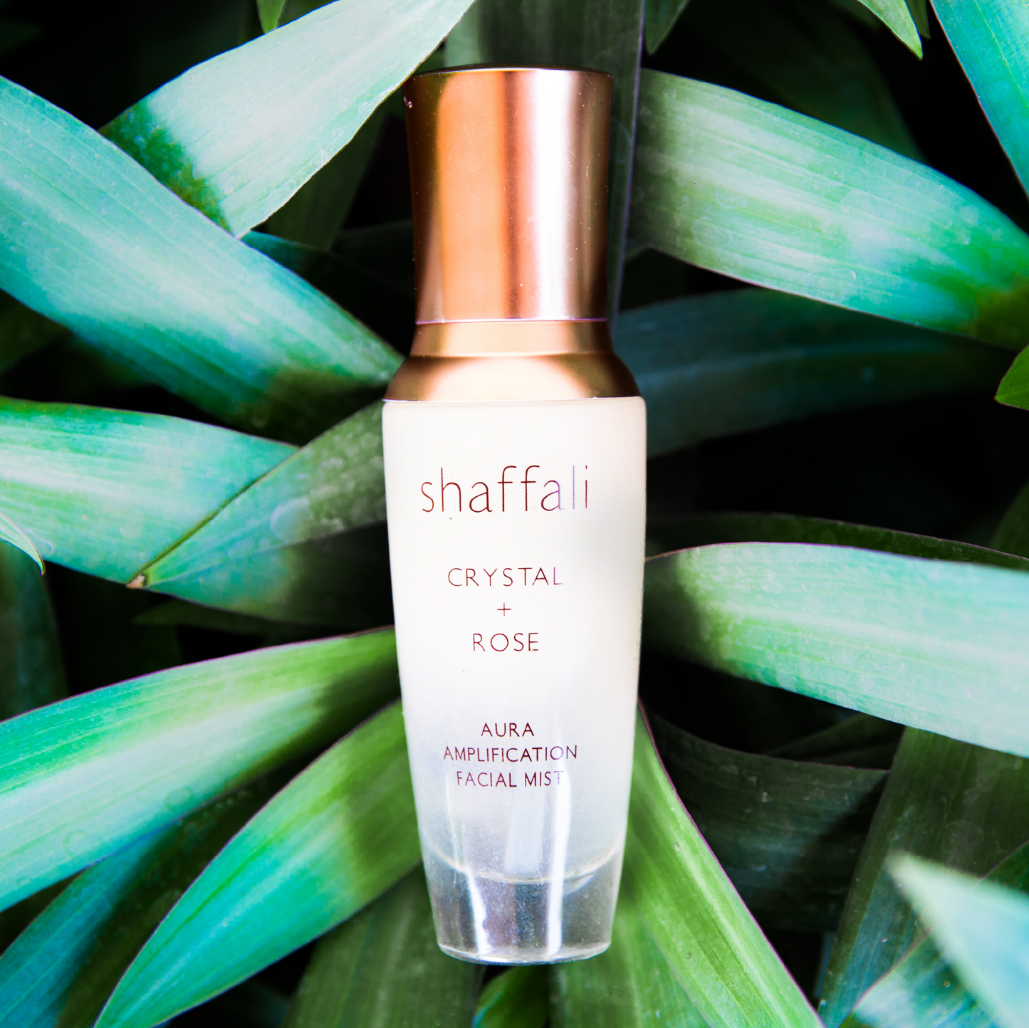 Step 4. Tone: Crystal + Rose Aura Amplification Facial Mist